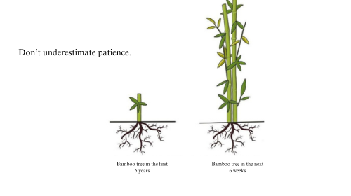Embracing the Bamboo Way: How Flexibility Shapes Success